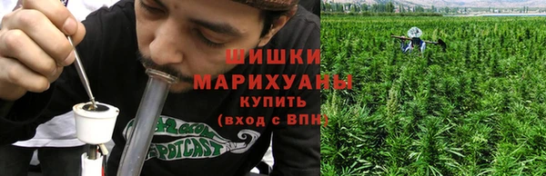 apvp Богородск