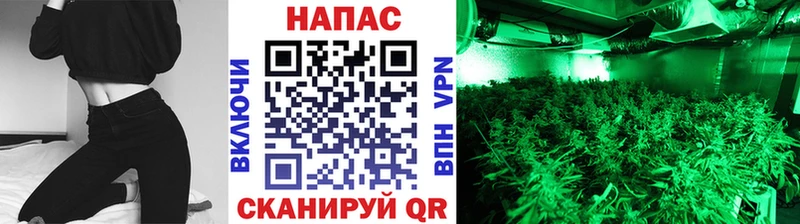 Марихуана семена  Ковылкино 